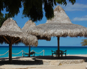 Soy Candle - Jamaica Me Crazy