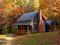 A "NEW" Soy Candle - Cozy Cabin